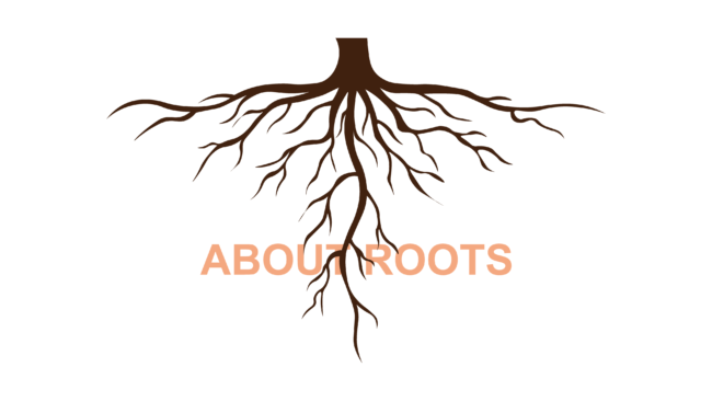 奥深い根っこの話 | 