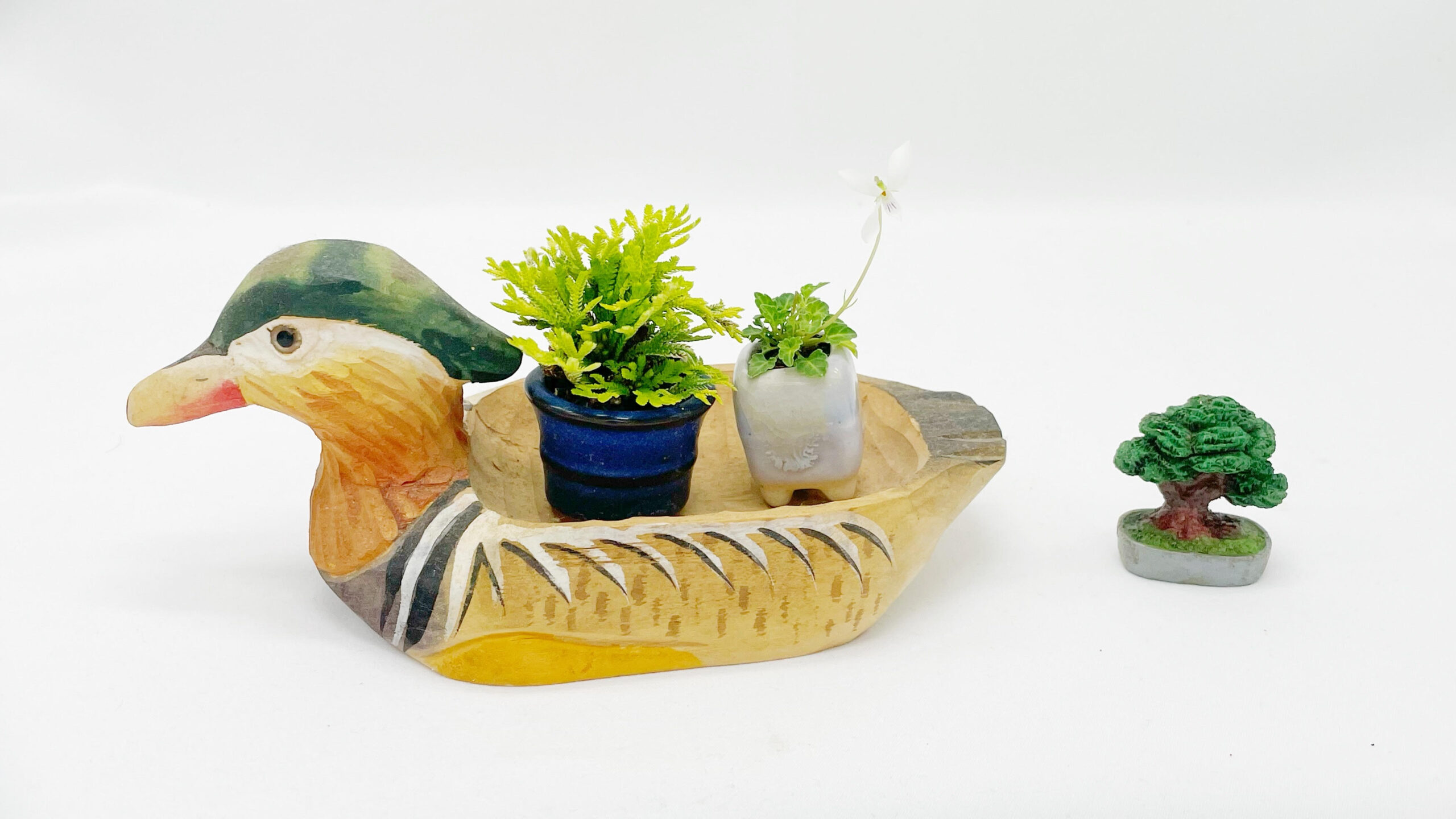 奥深き下草の魅力